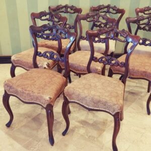 Dining Chairs